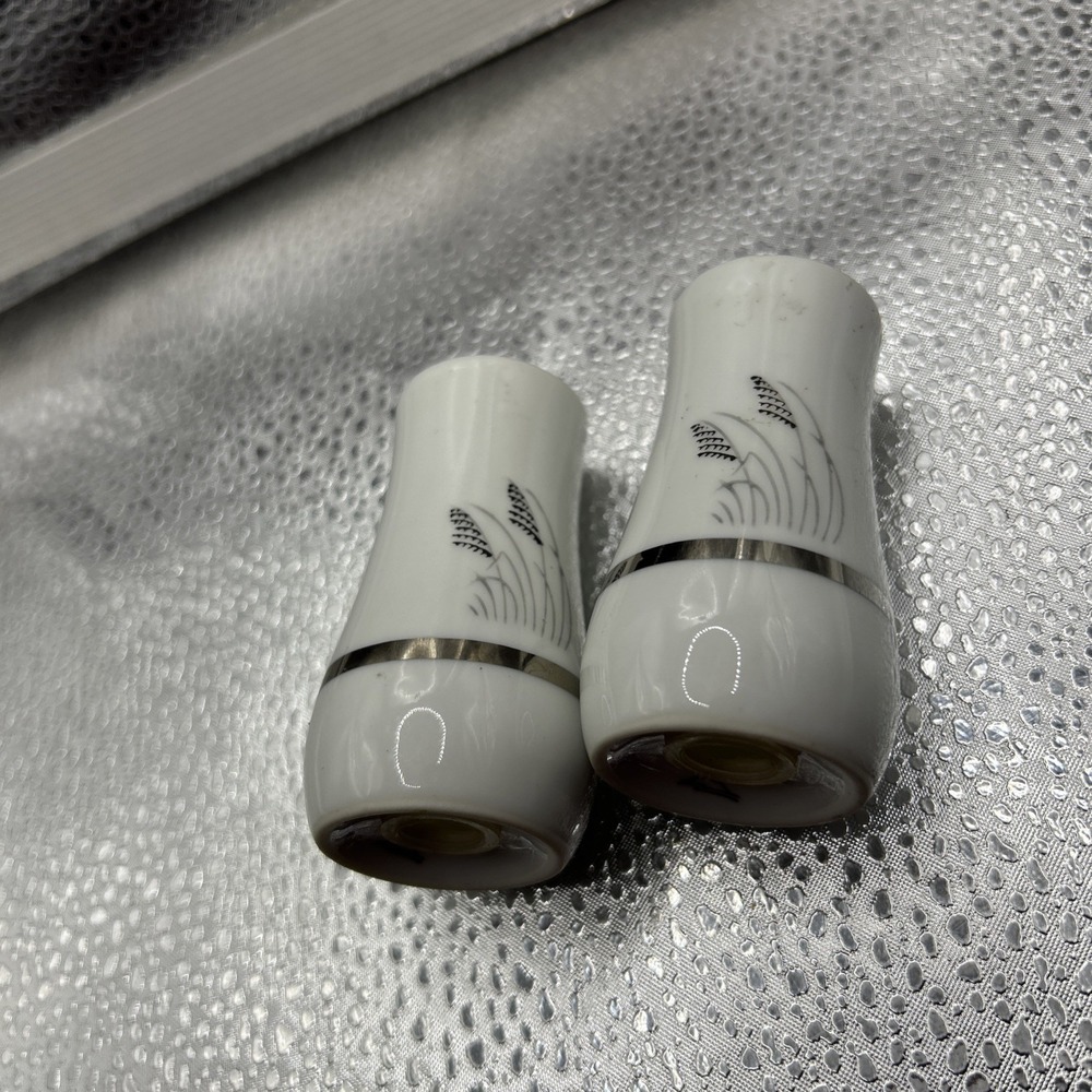 Fukagawa Arita Hand painted shakers